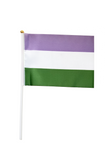Handheld Progress Pride Flag