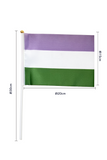 Handheld Progress Pride Flag