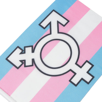 Set of Ten Handheld Transgender Symbol Flags【Sale: 6 % off】