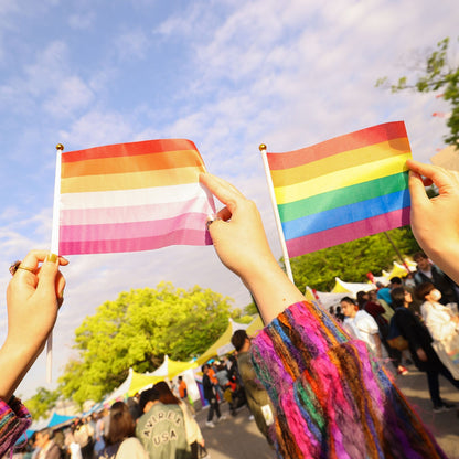 Set of Ten Handheld Lesbian Flags【Sale: 6 % off】