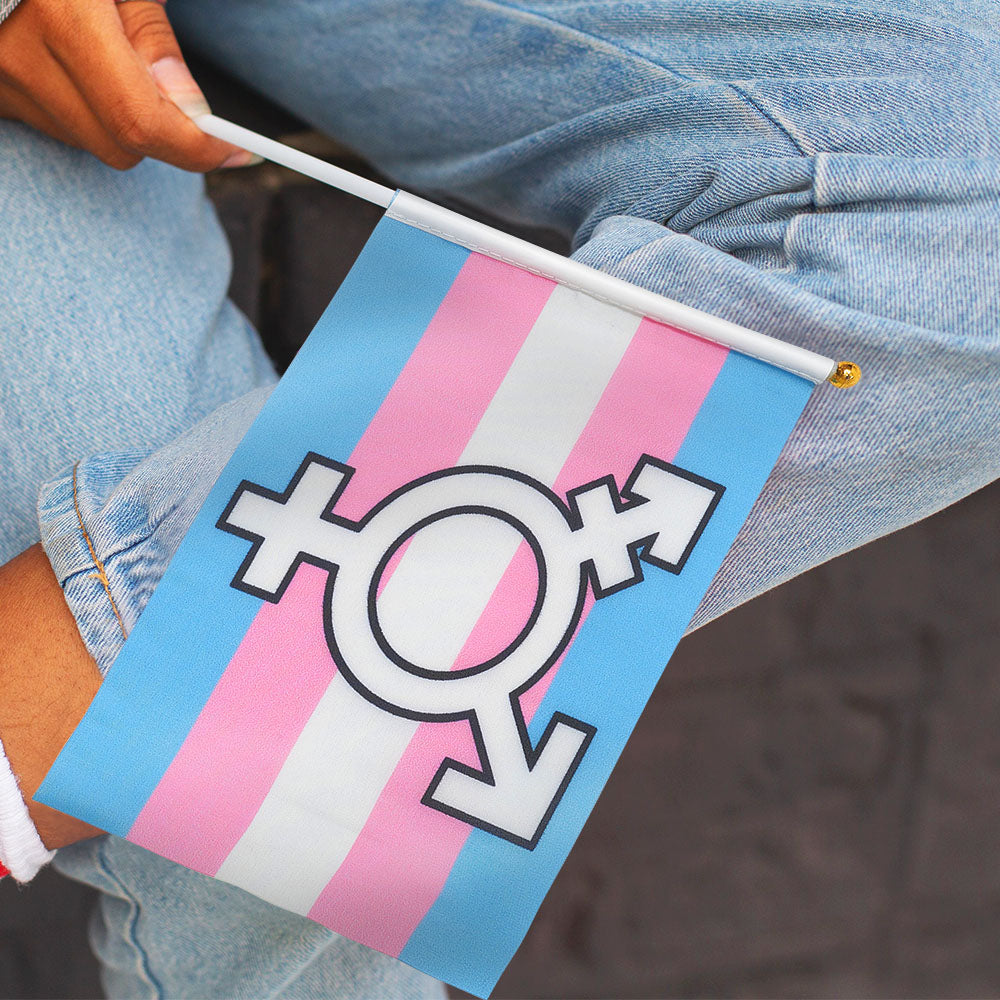 Set of Ten Handheld Transgender Symbol Flags【Sale: 6 % off】